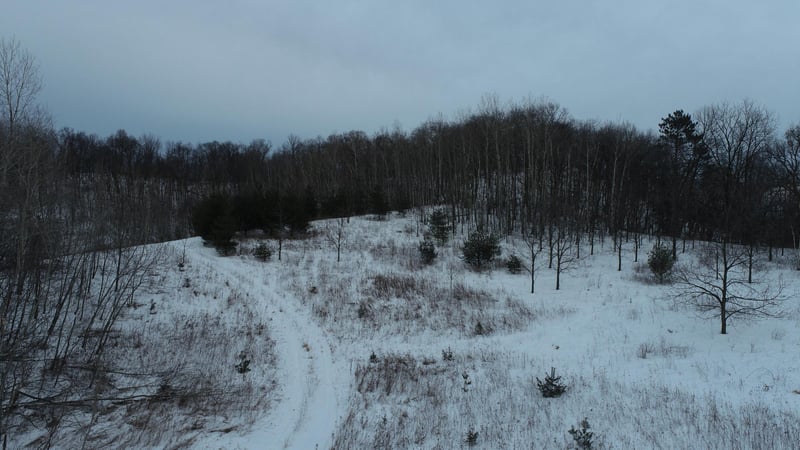 XXX Hwy 93, Eleva, WI 54738