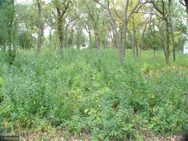 930 2nd Ave, Newport, MN 55055