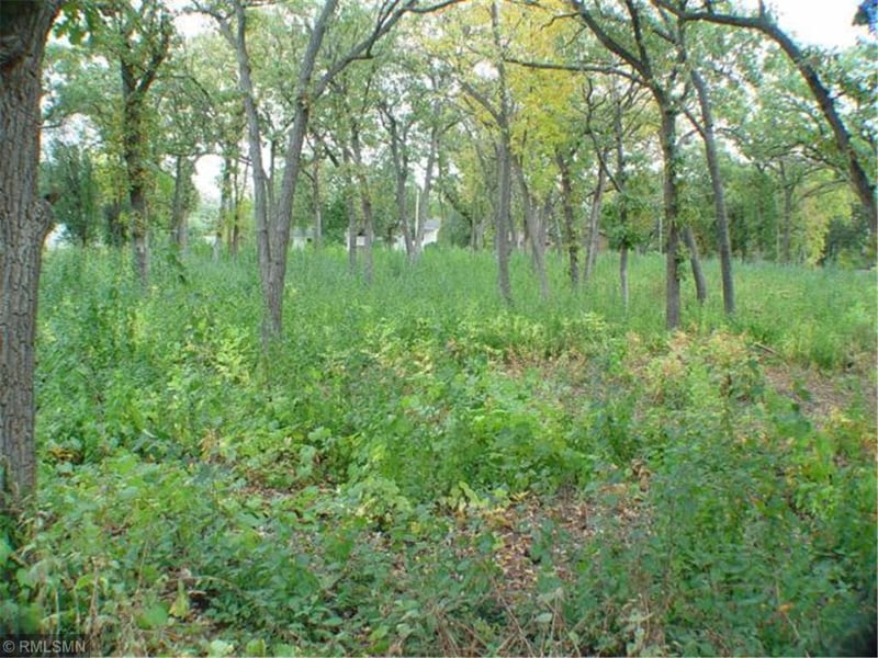 930 2nd Ave, Newport, MN 55055