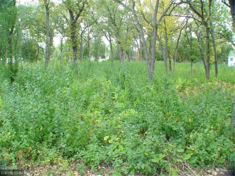 930 2nd Ave, Newport, MN 55055