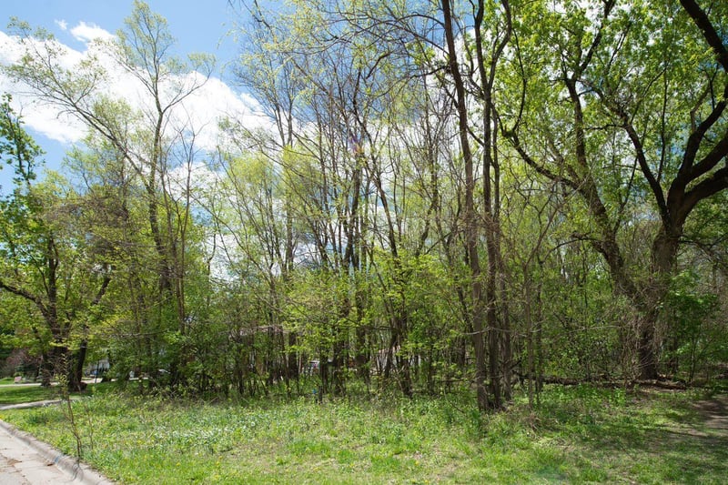 12xx 6th St, Saint Paul Park, MN 55071