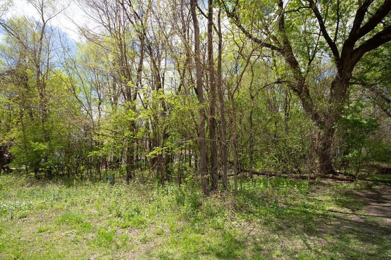 12xx 6th St, Saint Paul Park, MN 55071