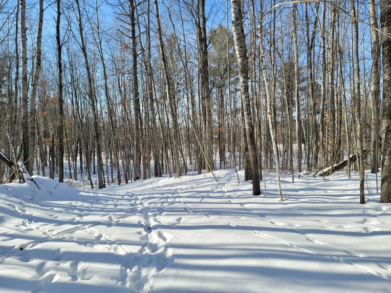 00 County Road W, Weyerhaeuser, WI 54895
