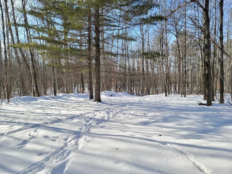 00 County Road W, Weyerhaeuser, WI 54895
