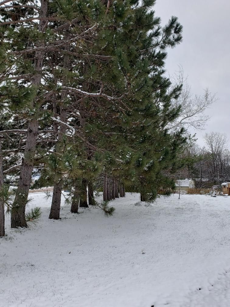 16273 Linden Tree Rd, Grasston, MN 55030