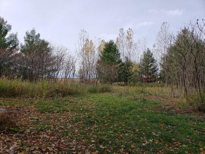 16273 Linden Tree Rd, Grasston, MN 55030