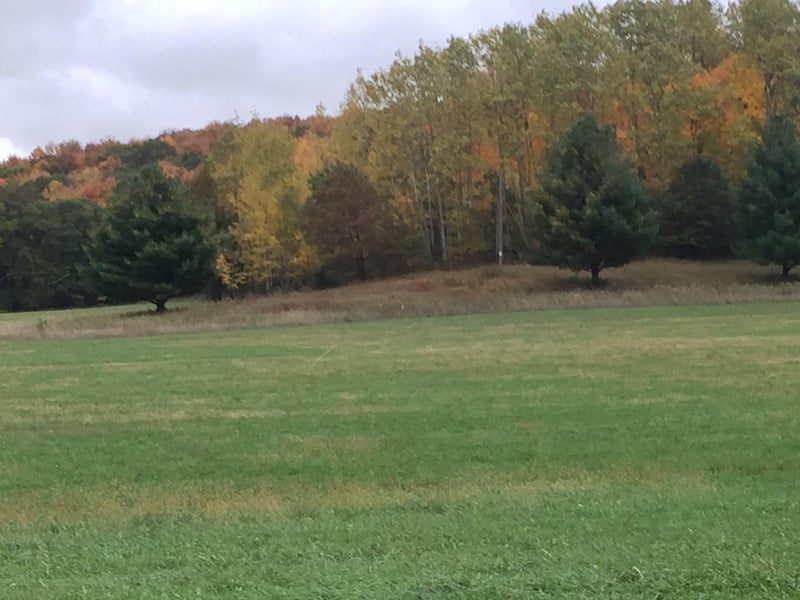 E101 Elk Mound Dr, Elk Mound, WI 54739
