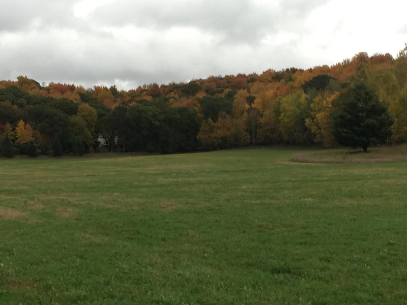 E101 Elk Mound Dr, Elk Mound, WI 54739