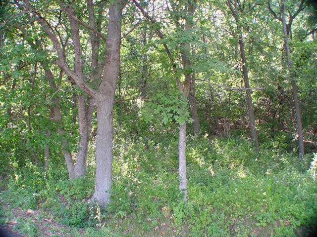 xxx Saint Croix Trl, Bayport, MN 55003