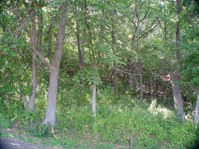 xxx Saint Croix Trl, Bayport, MN 55003