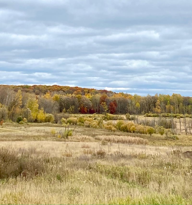 47006 County 9 Rd, Staples, MN 56479