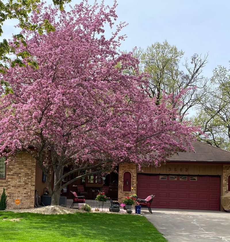 3562 115th Ln NW, Coon Rapids, MN 55433