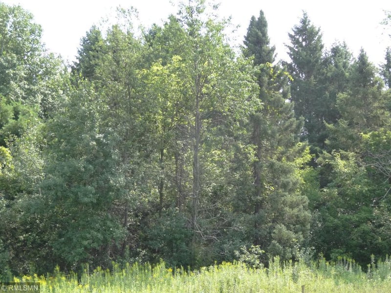 20875 Odell Ave N, Scandia, MN 55073