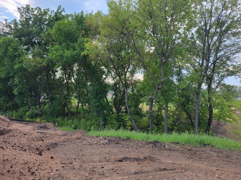 14643 Dallas Ln N, Dayton, MN 55327