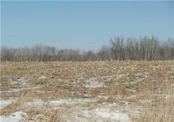 XXX 90th St NE, Foley, MN 56357