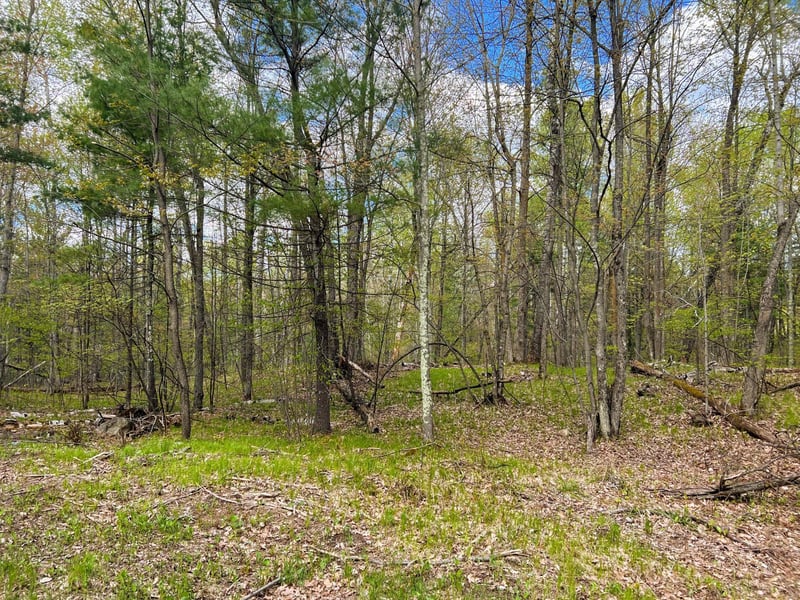 76XX County Rd S, Lake Nebagamon, WI 54849