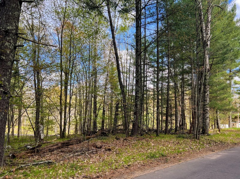 76XX County Rd S, Lake Nebagamon, WI 54849