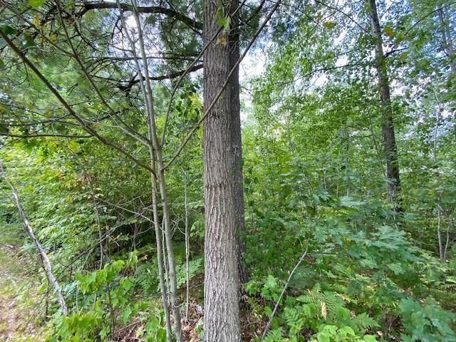 855 2nd St, Minong, WI 54859