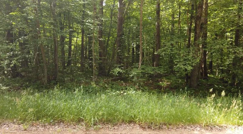 xxxx Ode Cir, Browerville, MN 56438