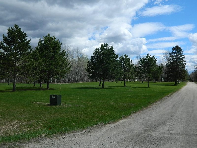 5279 Town Road 399, Littlefork, MN 56653