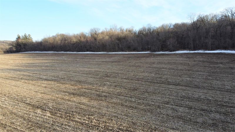 xxx 53rd Ave, Dennison, MN 55018