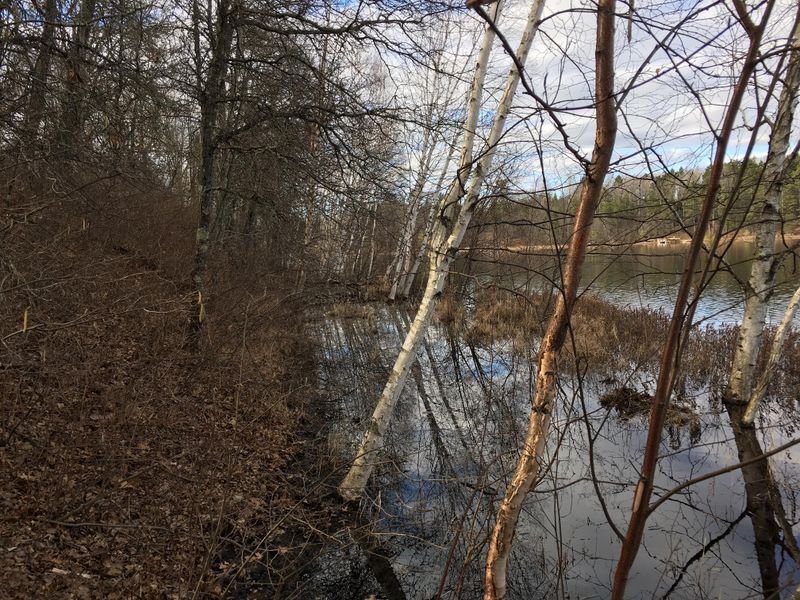 0 S Alexander Trail Rd, Gordon, WI 54838