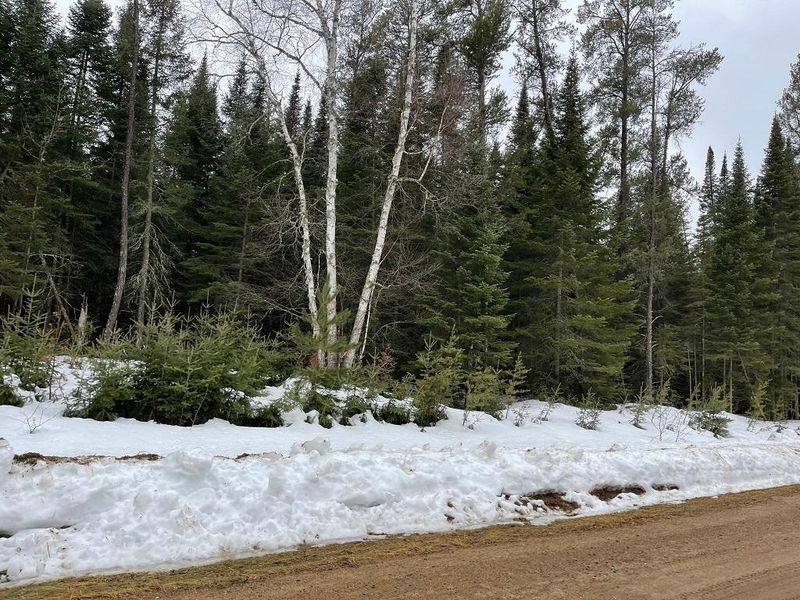 017 Hard Pine Dr, Park Rapids, MN 56470