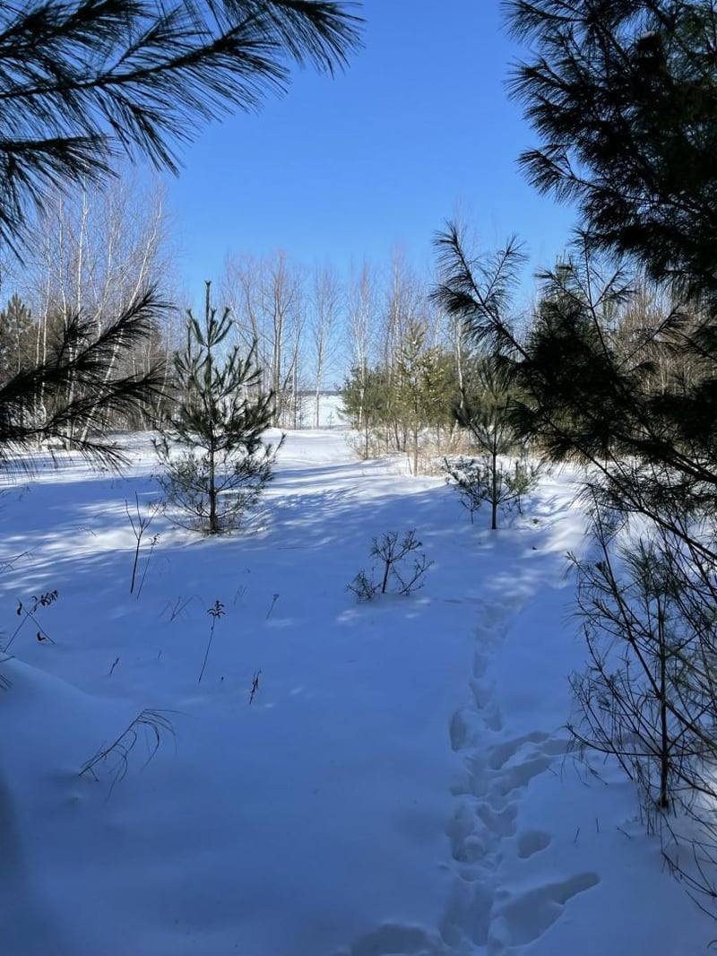 1603 S Lake Dr, Shell Lake, WI 54871