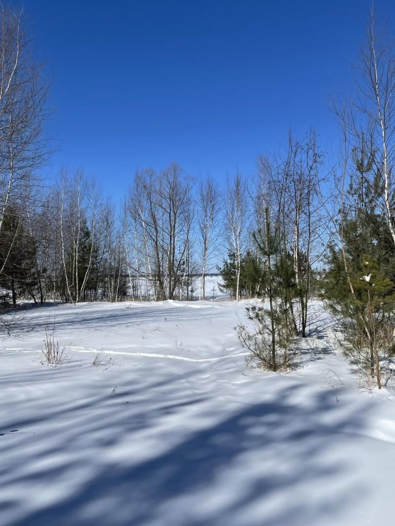 1603 S Lake Dr, Shell Lake, WI 54871