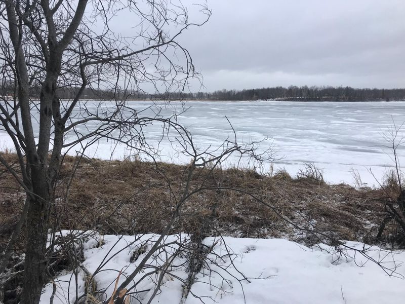 XXX Lumberjack Rd, Shevlin, MN 56601