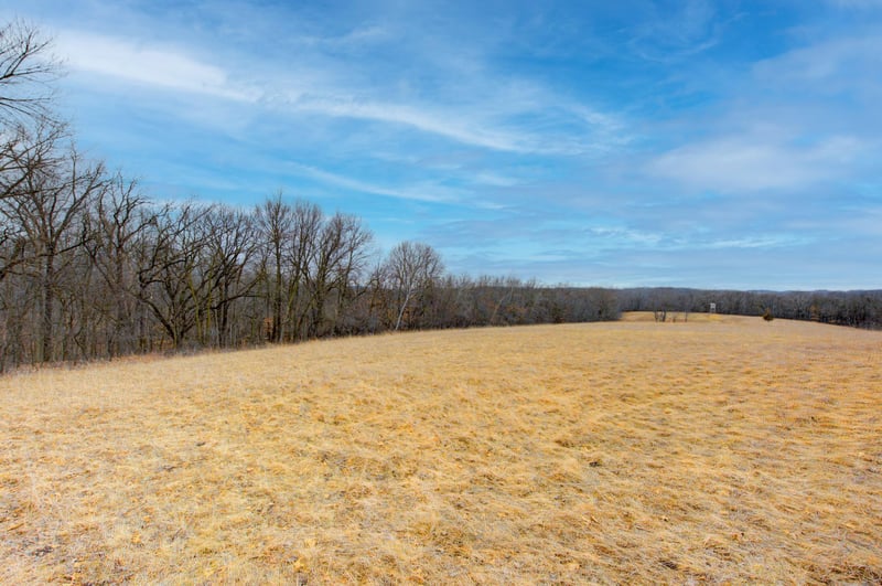 XXX 400th Ave, Zumbro Falls, MN 55991