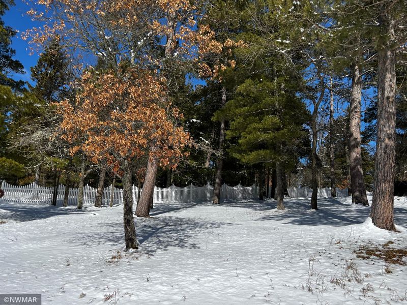 50686 County 29, Bemidji, MN 56601