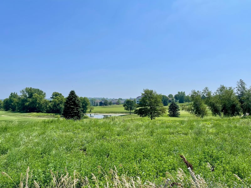 1422 Delamere Dr NE, Byron, MN 55920