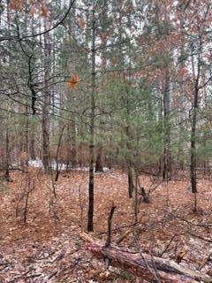 40xx NW Sunshine Dr, Oak Grove, MN 55303