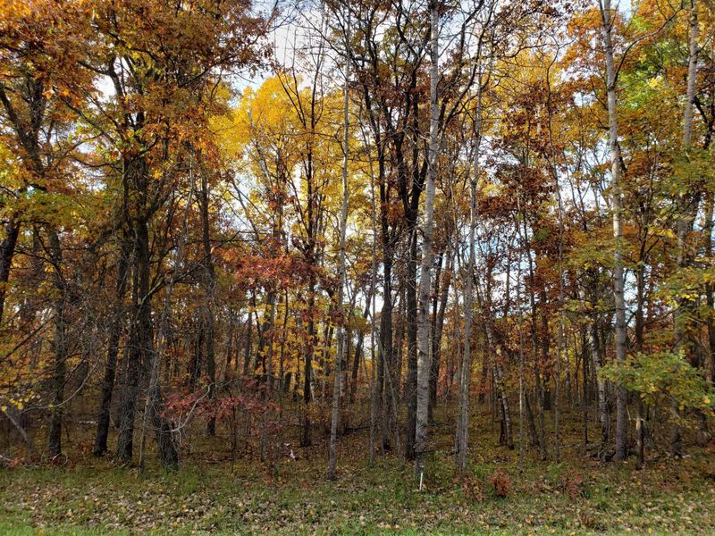 Lot 10 Blue Ridge Dr, Breezy Point, MN 56472