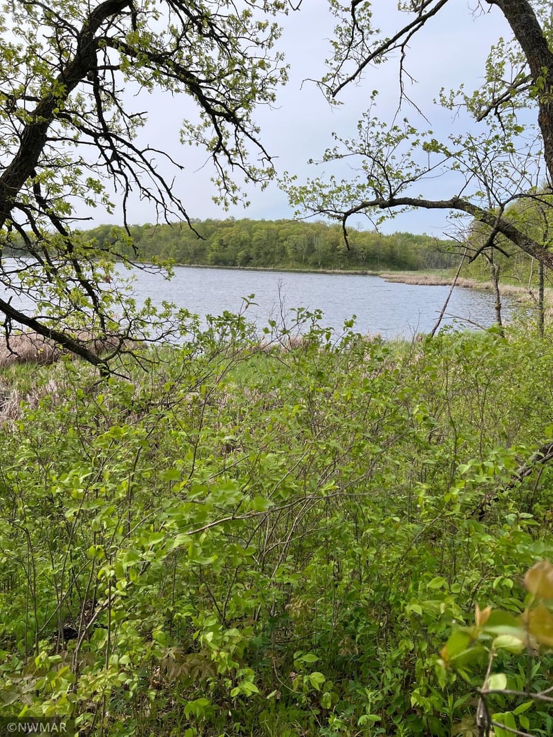 TBD Catherine Ln, Ogema, MN 56569