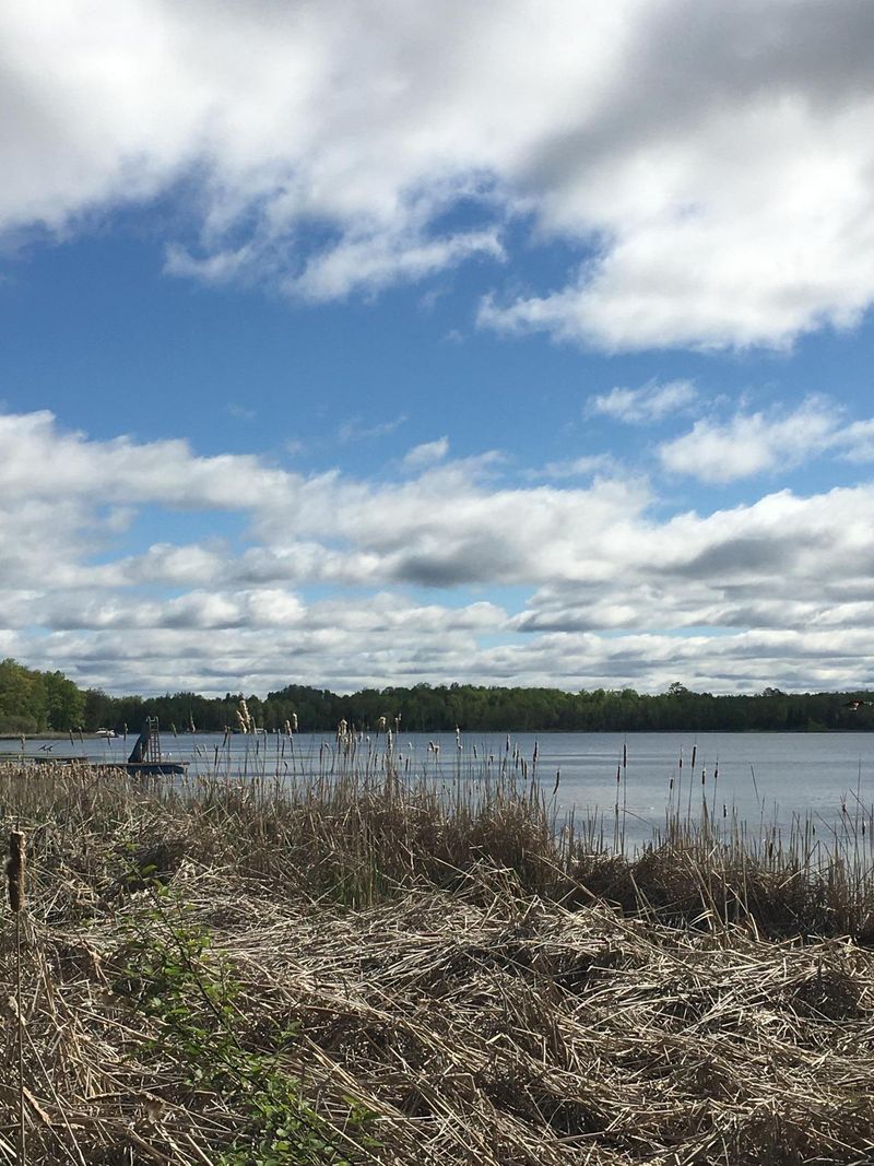 xxxxx 206th Pl, Jacobson, MN 55752