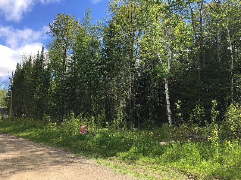 xxxxx 206th Pl, Jacobson, MN 55752