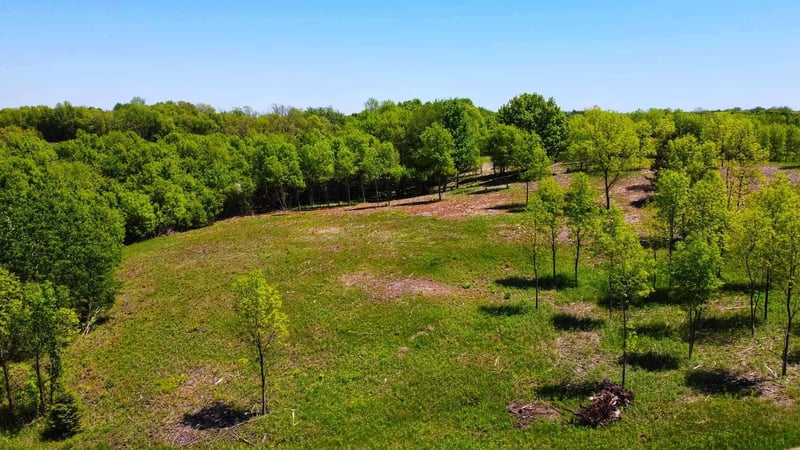 XXX Bagley Ave, Dundas, MN 55019