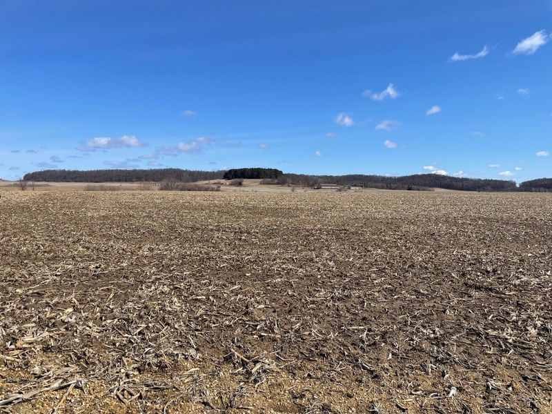 33.51 acres Hwy E, Menomonie, WI 54751