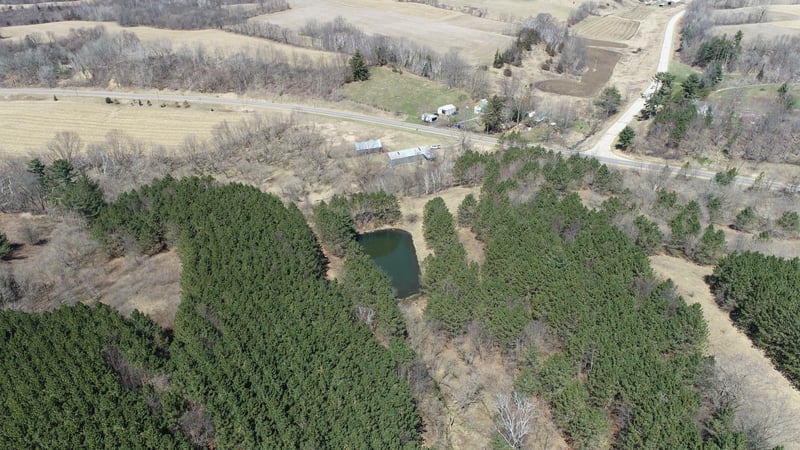 W15359 County Road D, Osseo, WI 54642