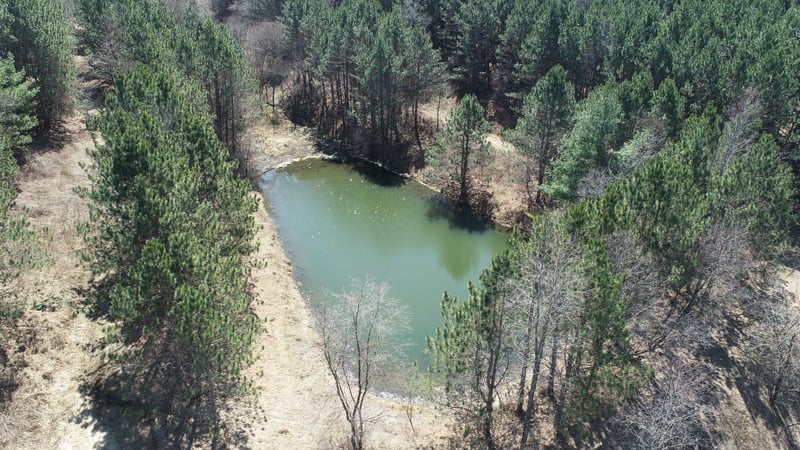 W15359 County Road D, Osseo, WI 54642