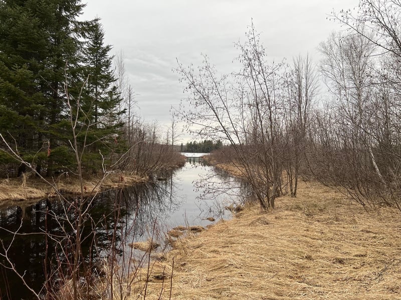 5924 W Burlum Rd, Winter, WI 54896