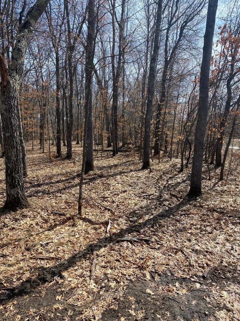 TBD Lot B County Road 3, Merrifield, MN 56465