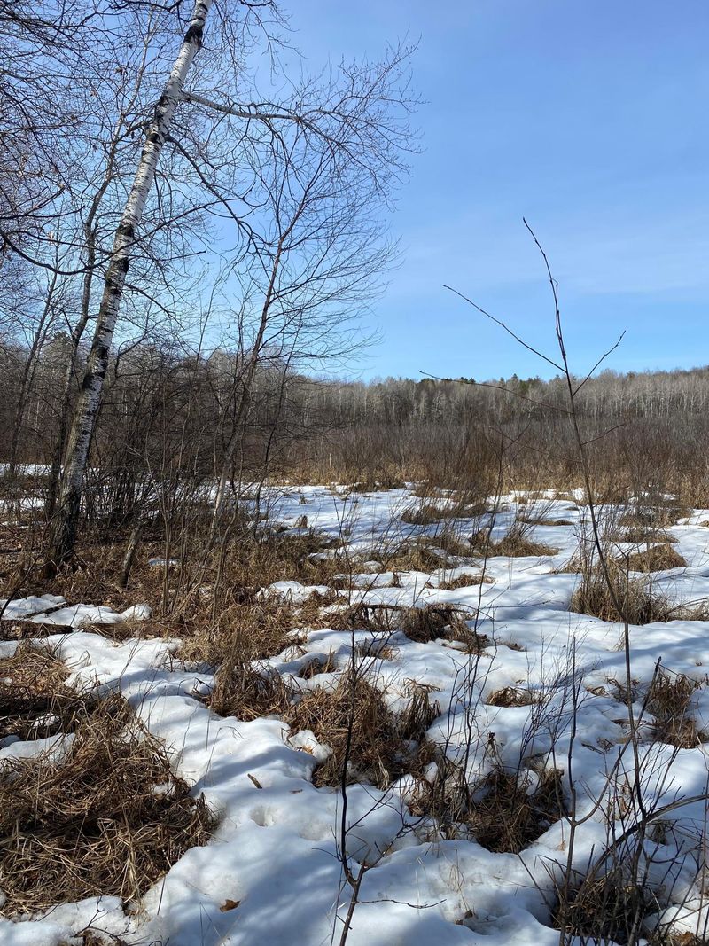 TBD Lot B County Road 3, Merrifield, MN 56465