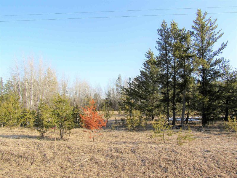 17.5 AC County 32, Park Rapids, MN 56470
