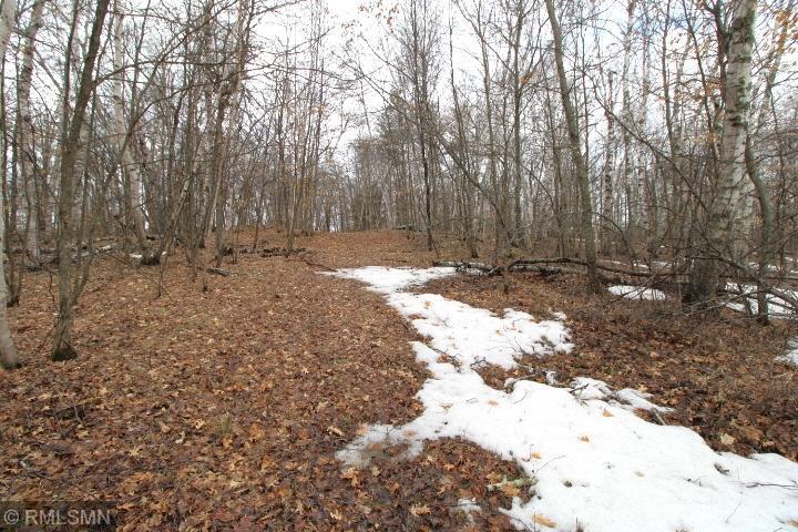xxx Buchite Rd, Fifty Lakes, MN 56448
