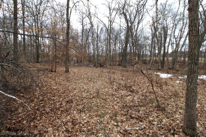 xxx Buchite Rd, Fifty Lakes, MN 56448