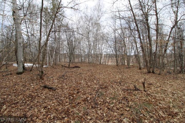 xxx Buchite Rd, Fifty Lakes, MN 56448