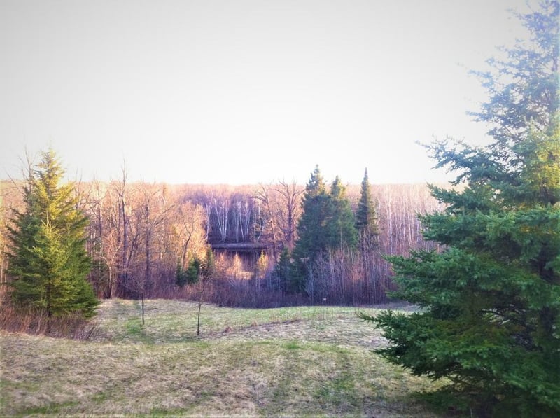 7836 Gowdy Landing Rd, Big Falls, MN 56627